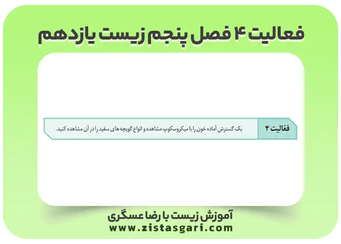 عکس فعالیت 4 فصل پنجم زیست یازدهم