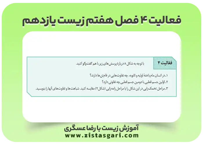 عکس فعالیت 4 فصل هفتم زیست یازدهم