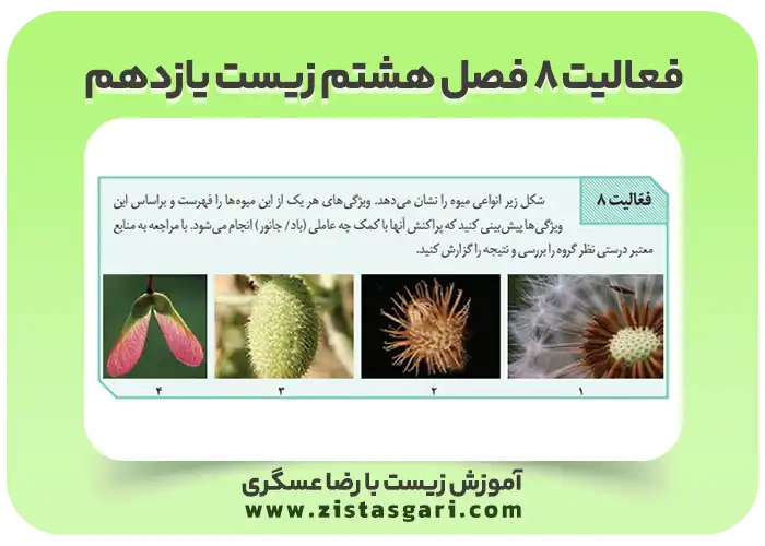 عکس فعالیت 8 فصل هشتم زیست یازدهم